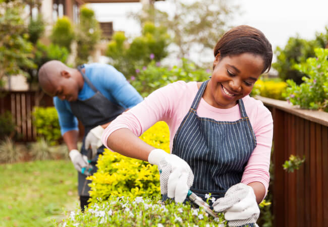 Nip Pain In The Bud This Spring